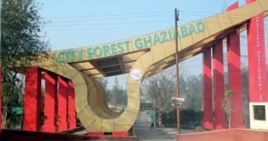city forest park in ghaziabad